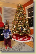 Christmas-Home-Pics-Dec2013 (4) * 5184 x 3456 * (8.47MB)
